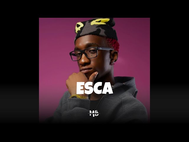 "ESCA" Asake x MAVO Type Beat | Afrobeat Instrumental 2025