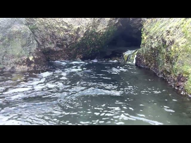 sea rocks that look like exotic please.