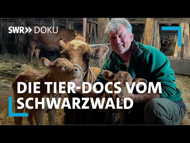 Traumjob trotz langer Arbeitszeiten - Die Tier-Docs vom Schwarzwald | SWR Doku