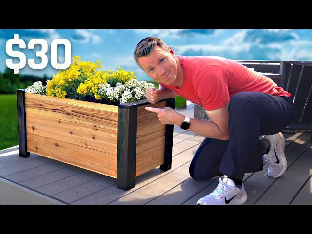 Modern Planter Box. $30. 3 Tools. FREE PLANS
