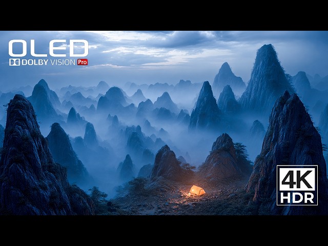 REAL OLED DEMO | 4K HDR 120FPS Dolby Vision (8K / 4K TV)