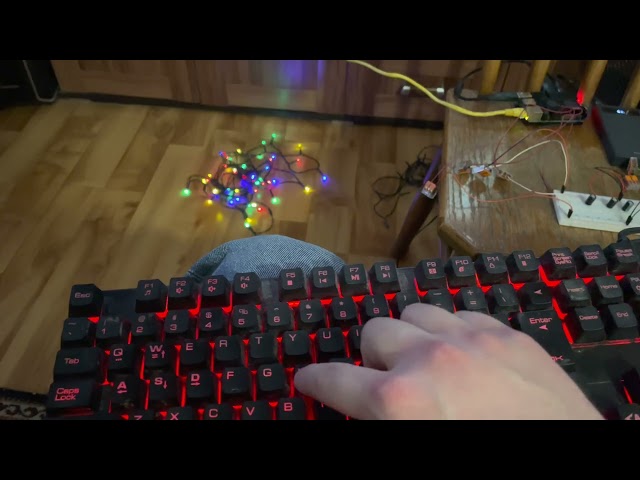 Raspberry i Lampki Choinkowe