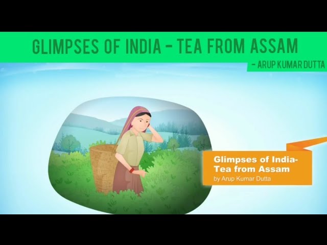Glimpses Of India - Tea From Assam By Arup Kumar Dutta (First Flight - X)