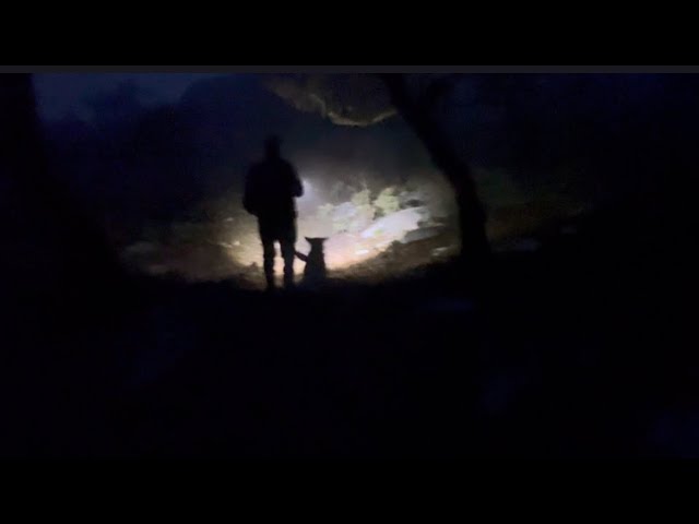 Felipe, let's go see the donkeys, something happened!