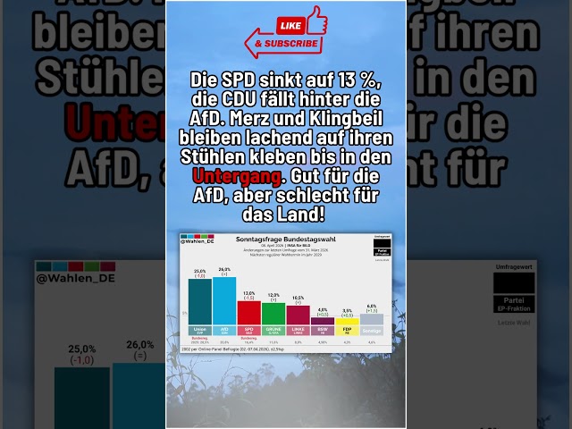 Die SPD wird untergehen #shorts #shortsfeed #shortvideo #afd #politik #deutsch #foryou #fyp #spd