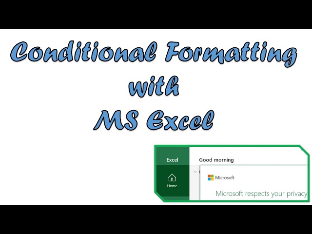 MS Excel Basics