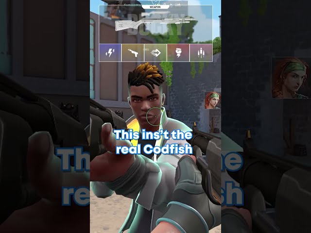 Codfish spotted in valorant