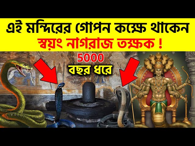 ৫০০০ বছর ধরে এই মন্দিরের গোপন কক্ষে থাকেন স্বয়ং নাগরাজ তক্ষক ! Nagchandreshwar Mandir Ujjain
