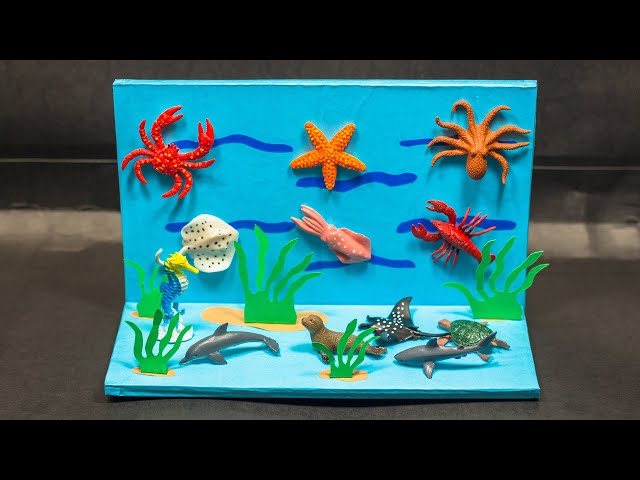 Aquatic Animal Working Model | Science Project