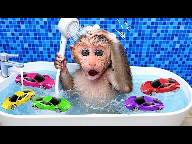 Monkey Baby Bon Bon bath in a bathtub with rainbow fish and play in the park with ducklings