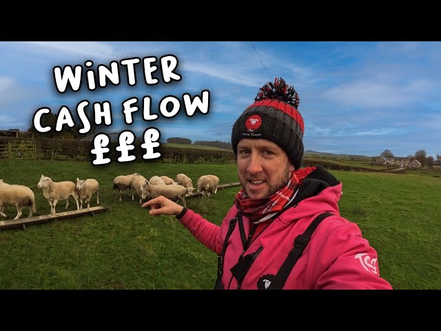 563 Lambs sold so far! What's our average at now?