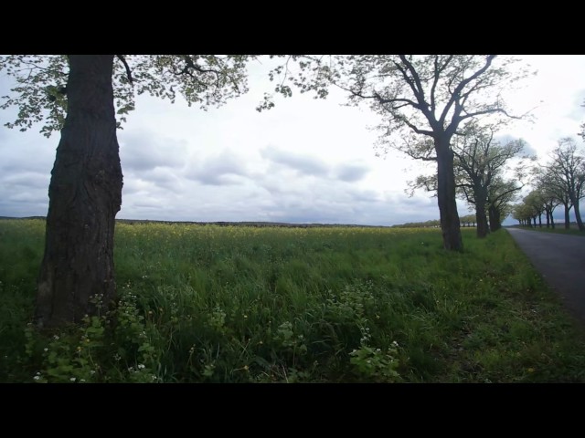 DEMVLUP 360 Grad Raps Meditation Test