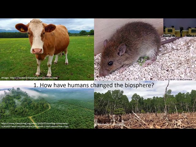 The Fossils Being Formed Today Will Show how Humankind Dirsupted Life on Earth - Prof Mark Williams