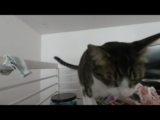 Sound Project- Isabella Vilanova