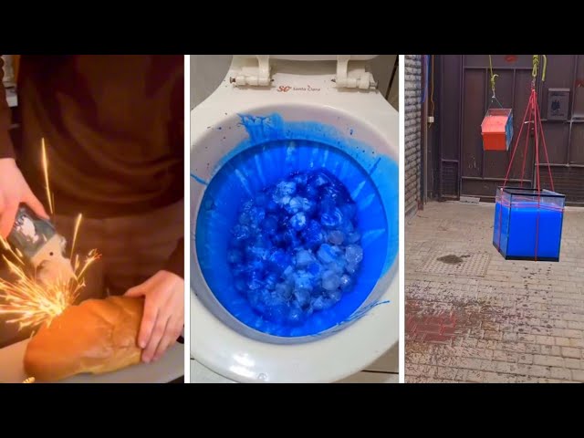 THE BEST SHORTS !! - FUNNY COMPILATION 