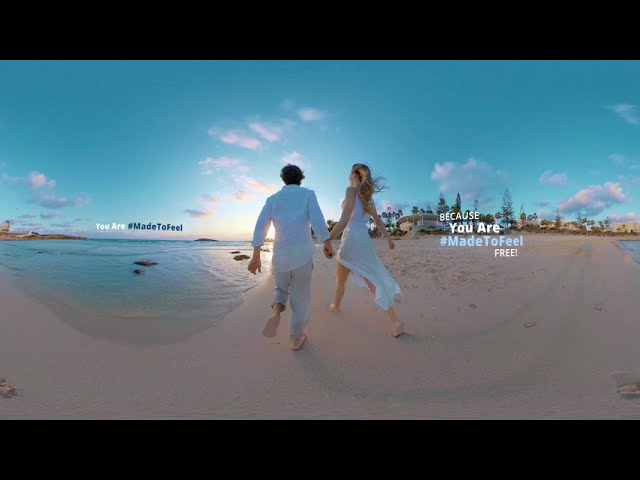 The Skies are open again!