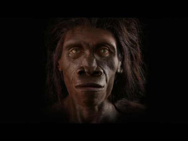 Shaping Humanity: How Science, Art, and Imagination Help Us Understand Our Origins [Full Teaser]