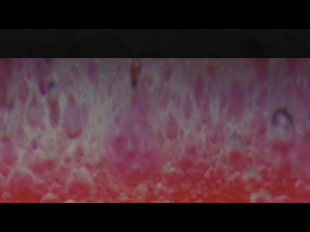 crazy experience - diving in a science experiment VR