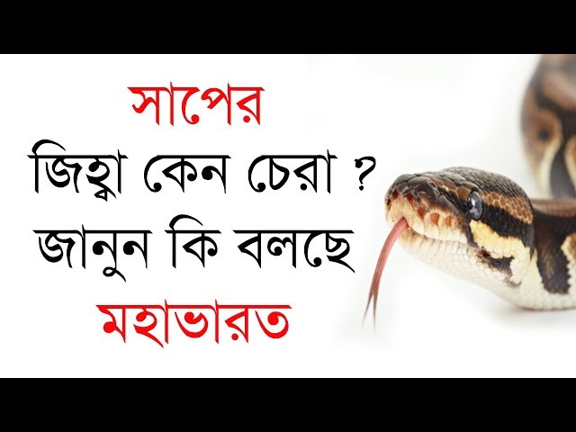 সাপের জিহ্বা কেন দুই ভাগ জানুন মহাভারতের কাহিনী থেকে !