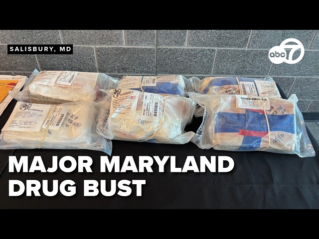 12 Arrested after cocaine, heroin, guns seized in drug bust along Maryland's Eastern Shore