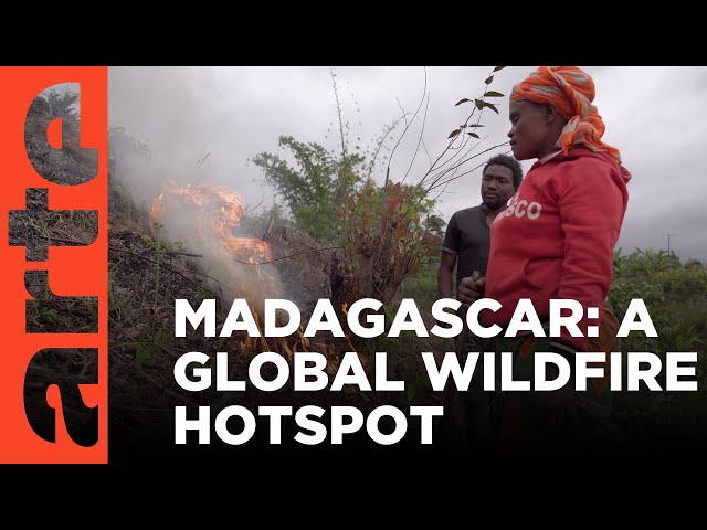 Madagascar: Fire Island | ARTE.tv Documentary