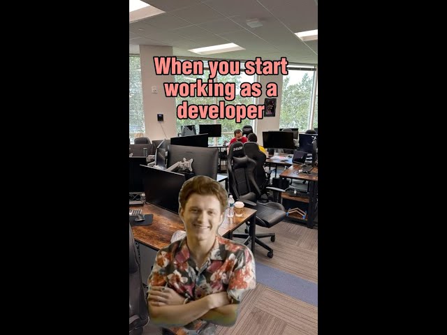 Tech startup office developer humor