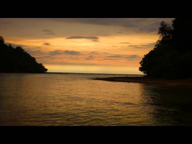 Time Passes In Borneo