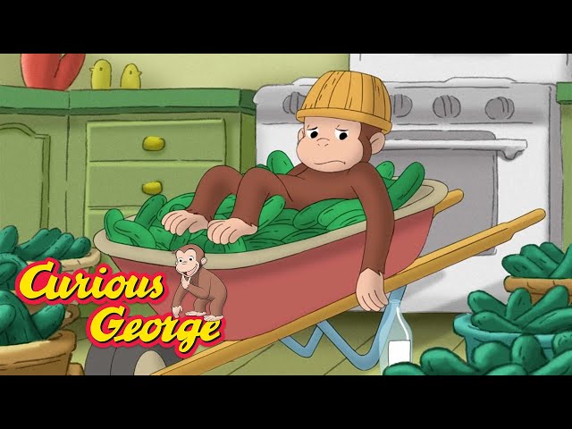 Cucumbers Everywhere! 🐵 Curious George 🐵 Kids Cartoon 🐵 Kids Movies