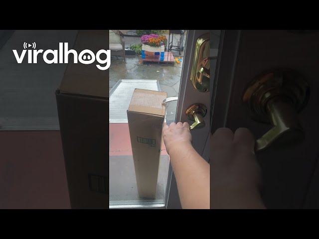 When You Get a Package but They Lock You in Your Own House || ViralHog
