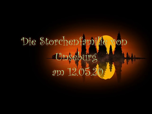 Storchenbabys in Unseburg