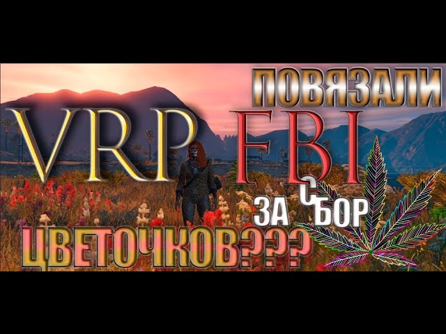 VRP повязали FBI за сбор ЦВЕТОЧКОВ?