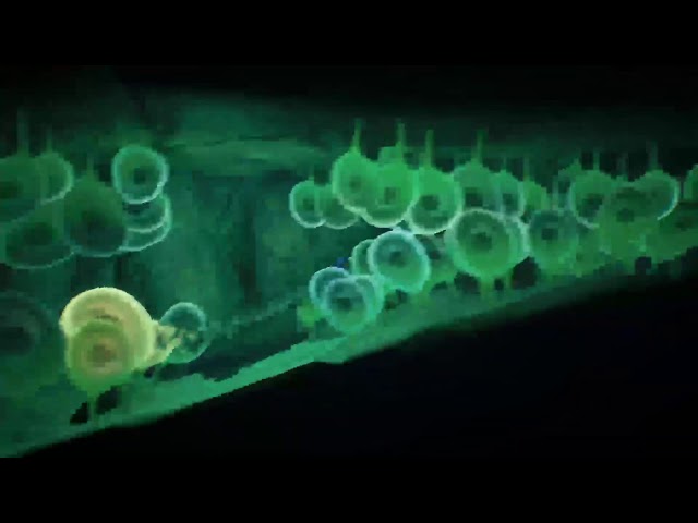 Darwin's Paradox (Part 3)