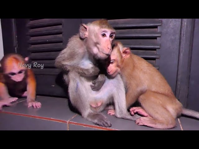 KT believes in Dawn take newcomer & Rusty to sleep  with her at night, Rusty cry when KT leave