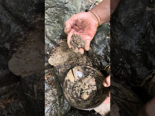 A black stone that has been thousands of years😱😱 #goldcollector #golddiscovery