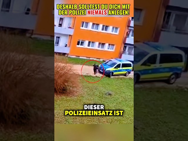 Police overpower armed person #operation #germany #fypviral