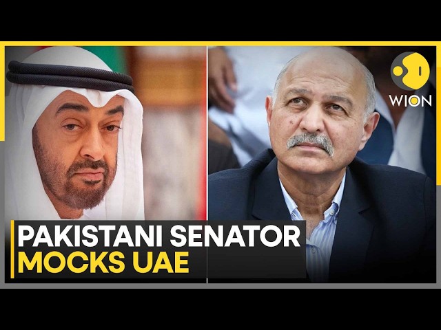 Pakistani Senator Mushahid Hussain Mocks UAE On Loan Repayments | WION World News
