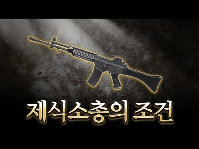 10 conditions to become a service rifle!