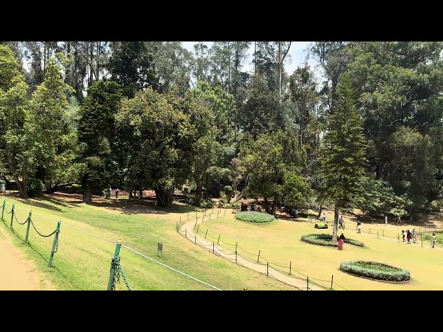 Botanical Garden View | #ooty | #ootytourism