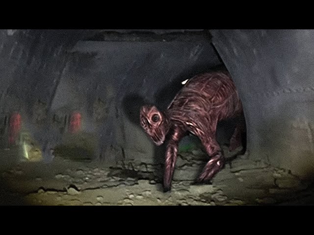 18 Ghosts/Paranormal Encounters That Will Keep You Awake | Spooky Comp V.1