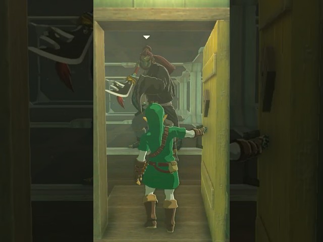 Link has a visitor... #zelda #funny #tearsofthekingdom #totk #gaming #nintendo #link