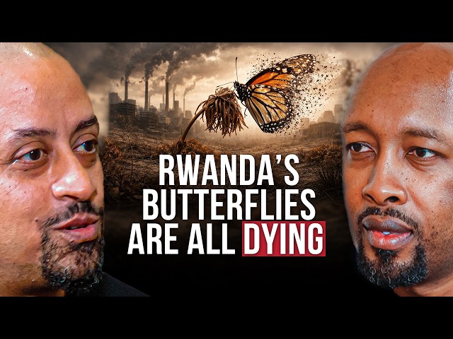 What Happened to Rwanda’s Wildlife? The Hidden Decline
