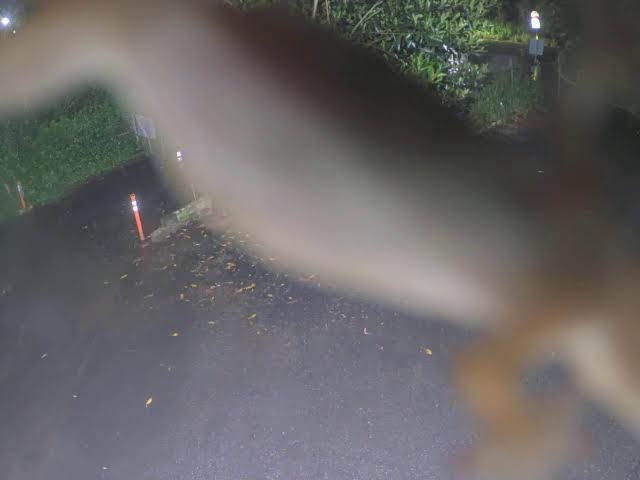 Wahiawa Convenience Center