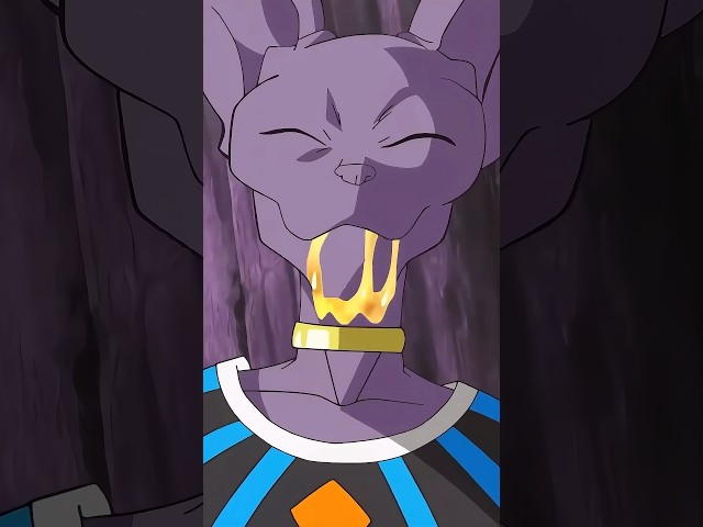 Beerus Eats Cheese😂