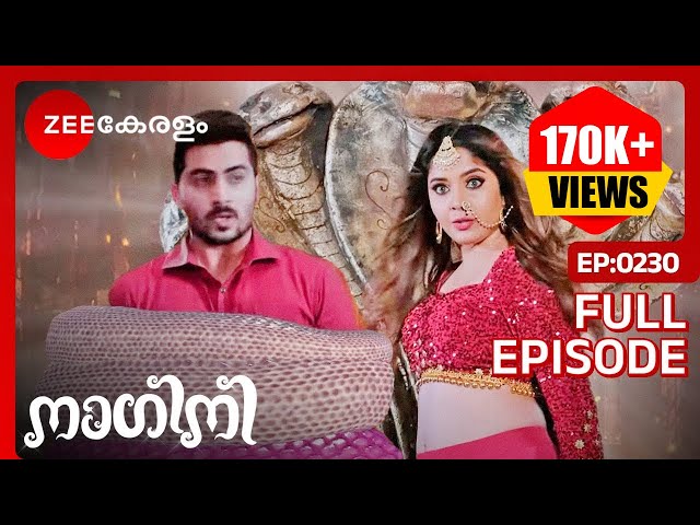 😱🐍OMG...ത്രിവിക്രമൻ & മയങ്കാനി! - Nagini | Full Ep 230 | Shivani, Adishesha | @zeekeralam