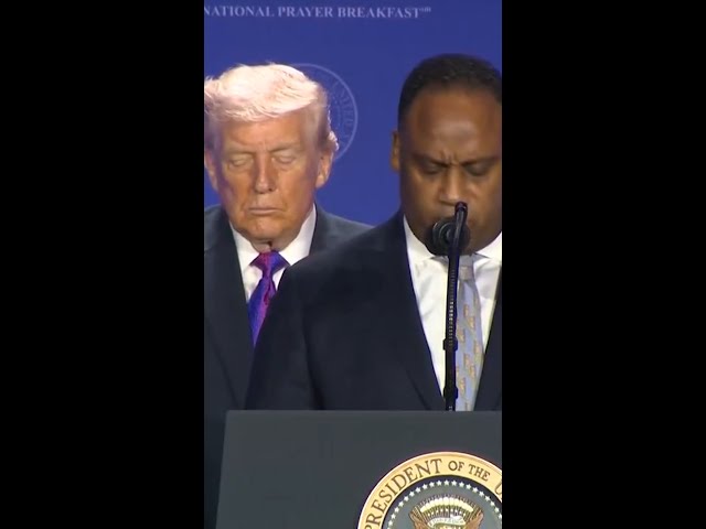 Attention Was Never There