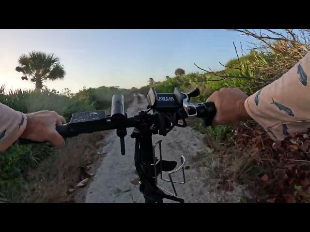 Off the beaten path, Canaveral national seashore! 