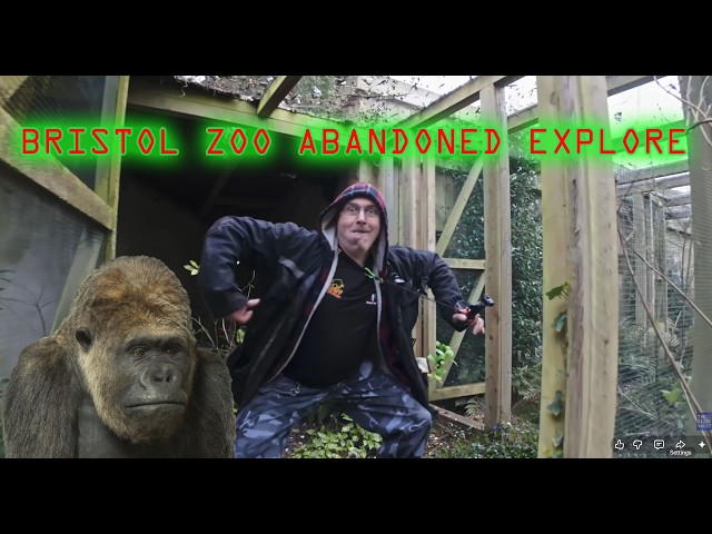 Bristol Zoo abandoned and overgrown