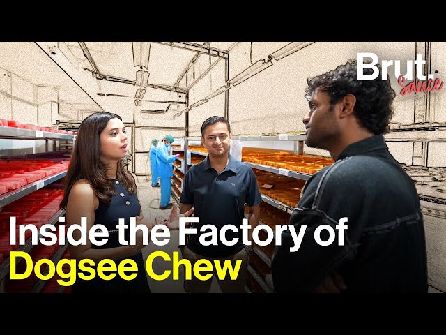 Inside India’s Fastest Growing Pet Snack Factory | Dogsee Chew