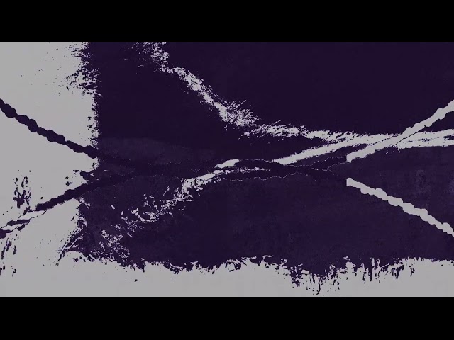 D.A.N. - Purple Sunshine (Official Audio)