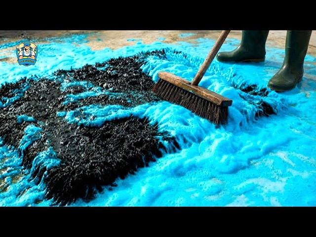 The Secret Method for Amazing Carpet Cleaning Results #asmr #satisfying #cleaning